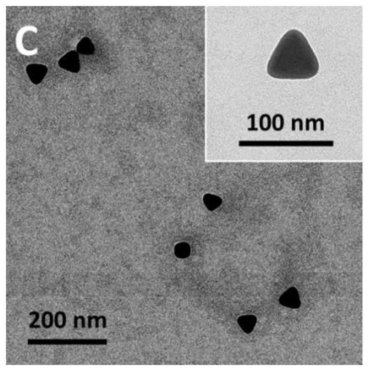 Gold nanoparticle, preparation method and application thereof