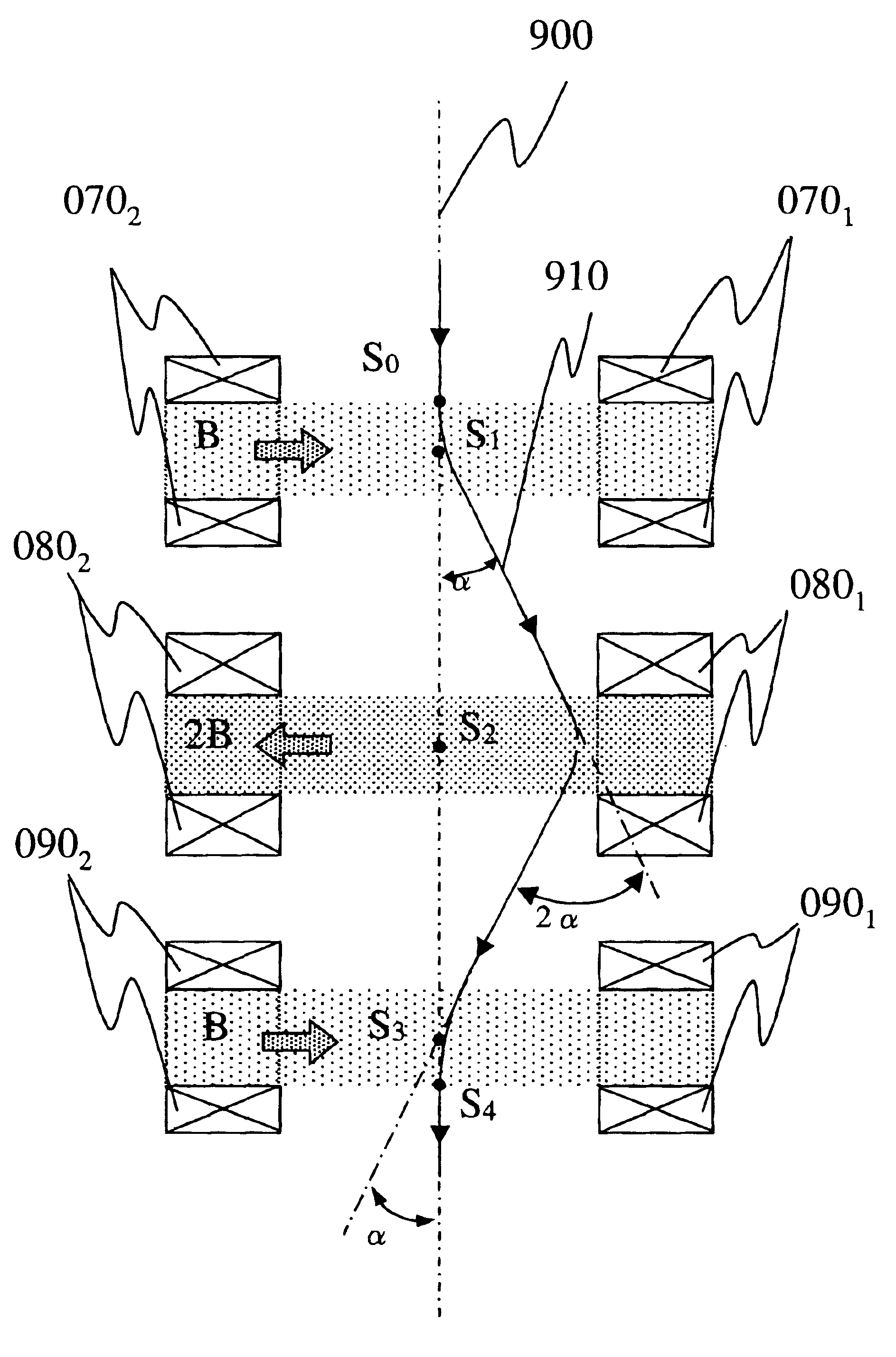 Specimen observation system for applying external magnetic field