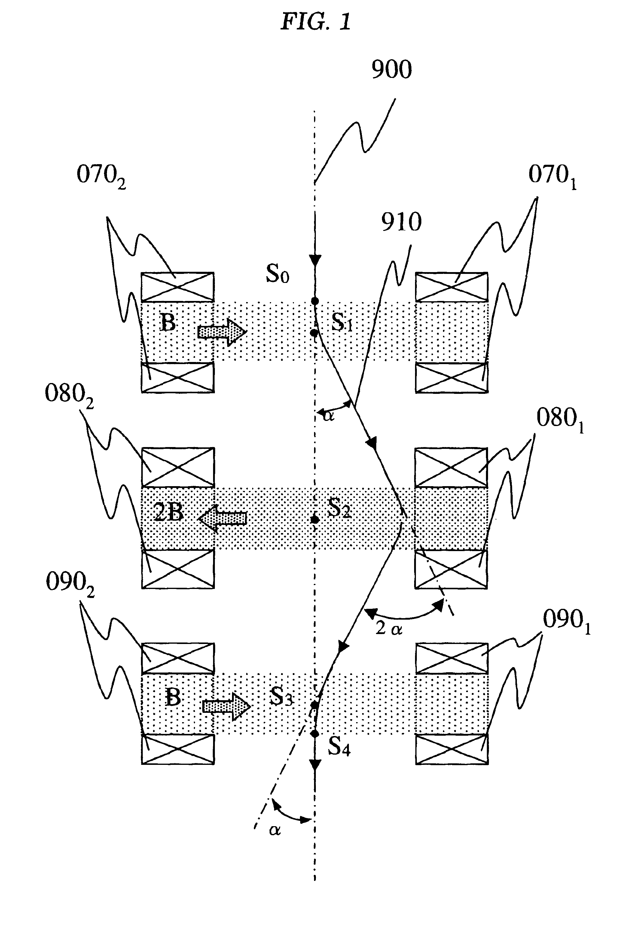 Specimen observation system for applying external magnetic field