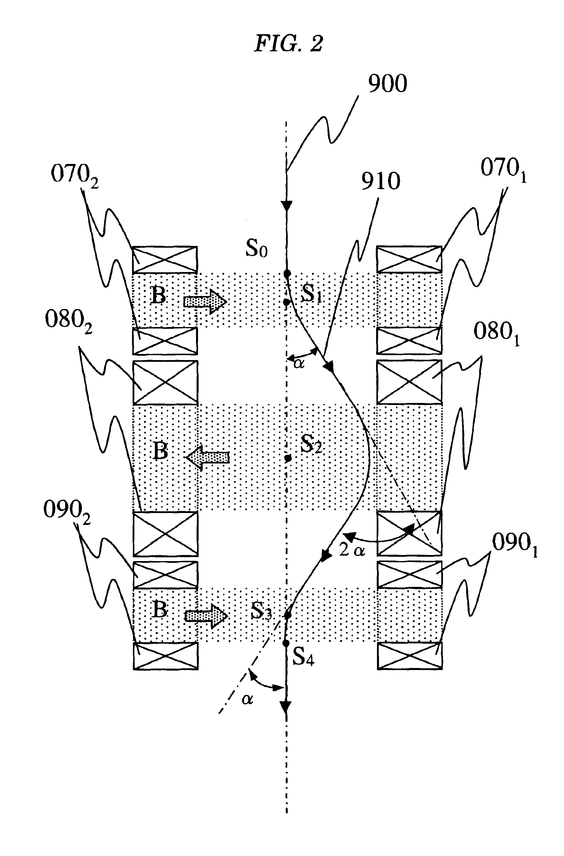 Specimen observation system for applying external magnetic field