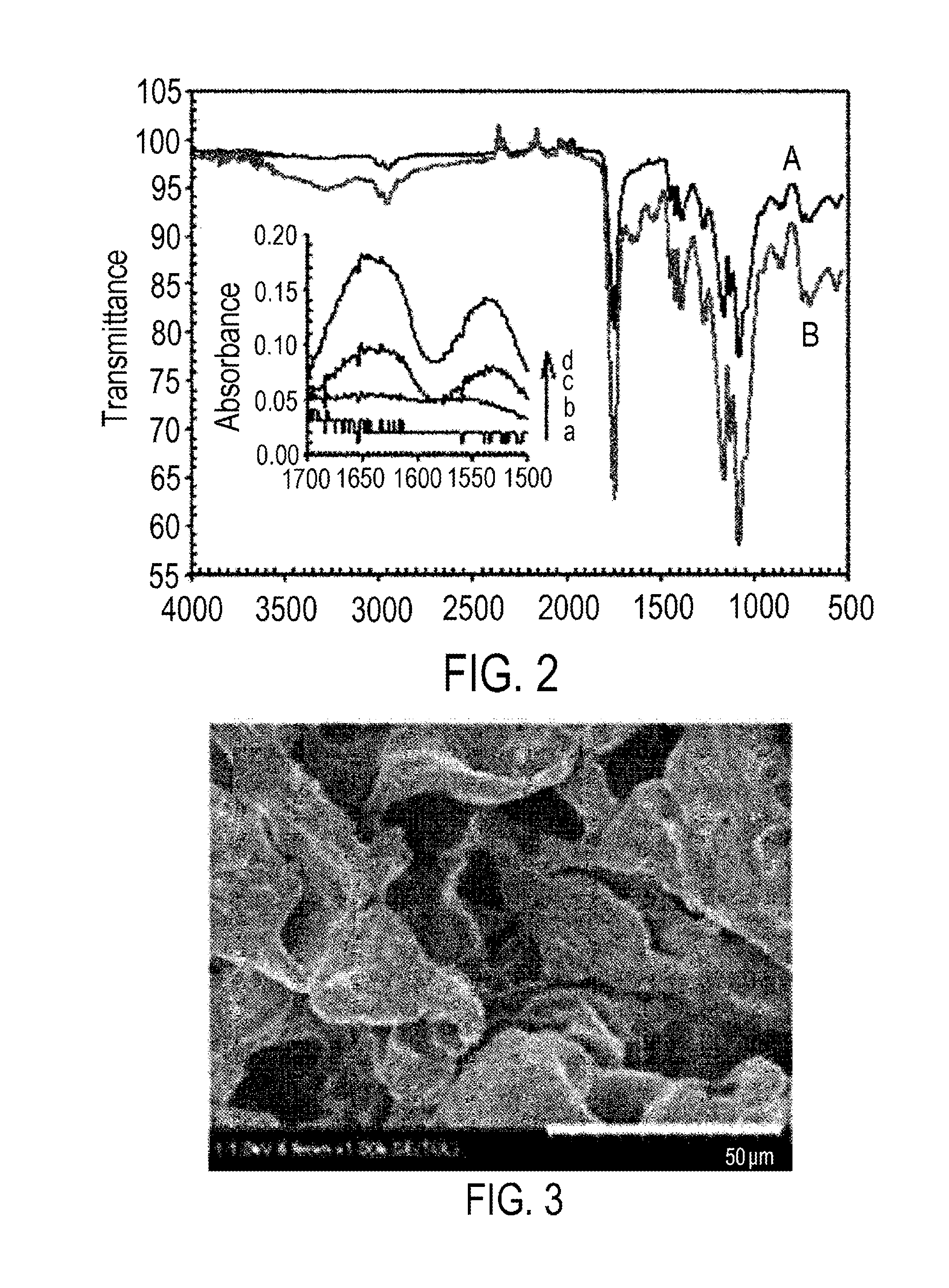 PLGA scaffold