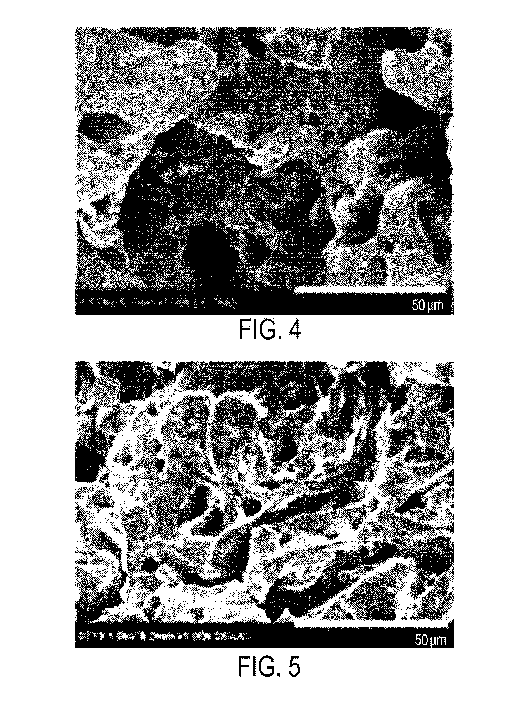 PLGA scaffold