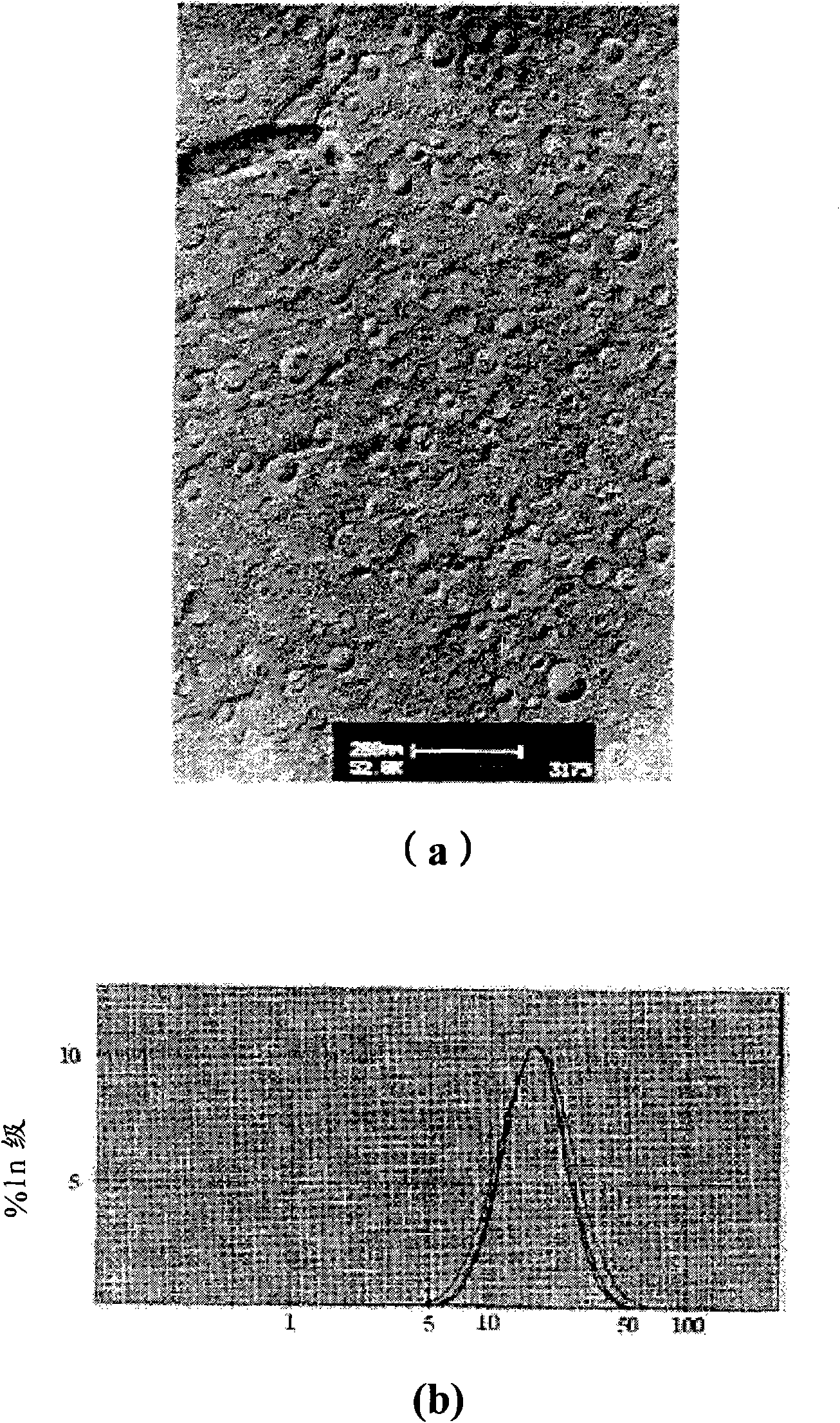 Nanoparticle composition for prevention of hair loss and promotion of hair growth