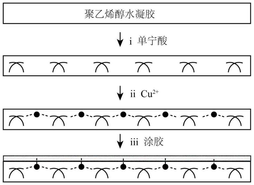 Transparent antifouling patch as well as preparation method and application thereof