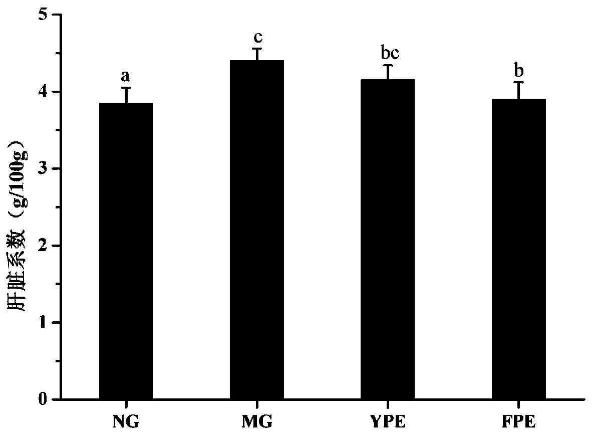 Fermentation oat functional food for preventing fatty liver