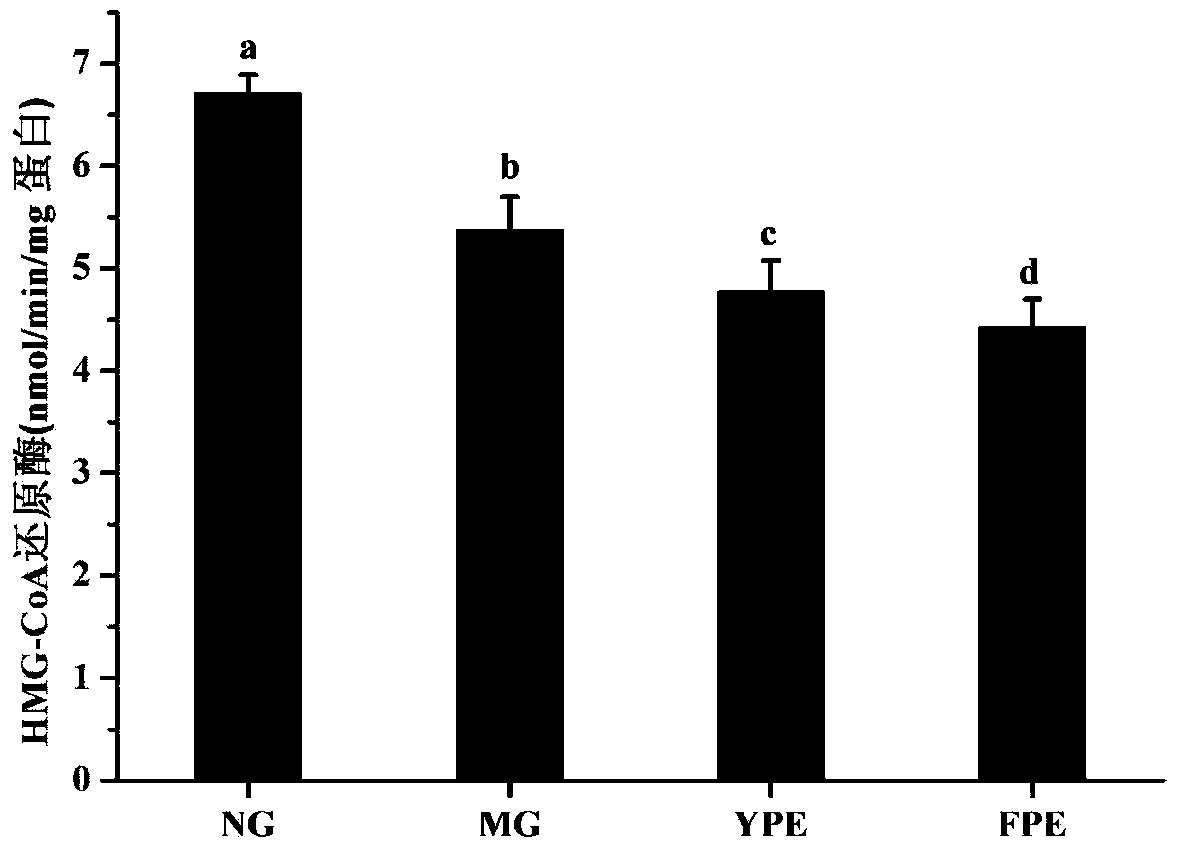 Fermentation oat functional food for preventing fatty liver