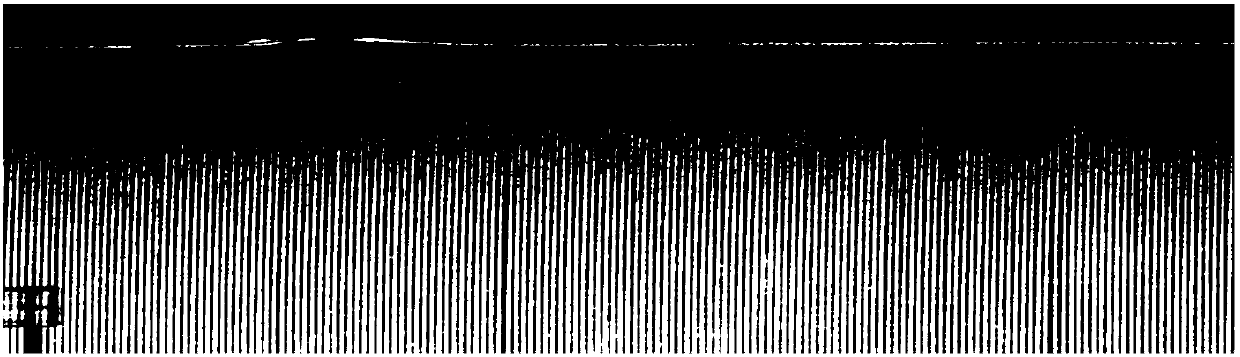 A method and device for measuring the stacked quantity of multi-camera cigarette labels