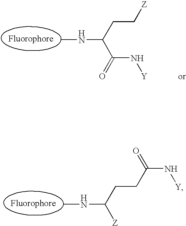 Method for increasing hydrophilicity of fluorescent label compounds