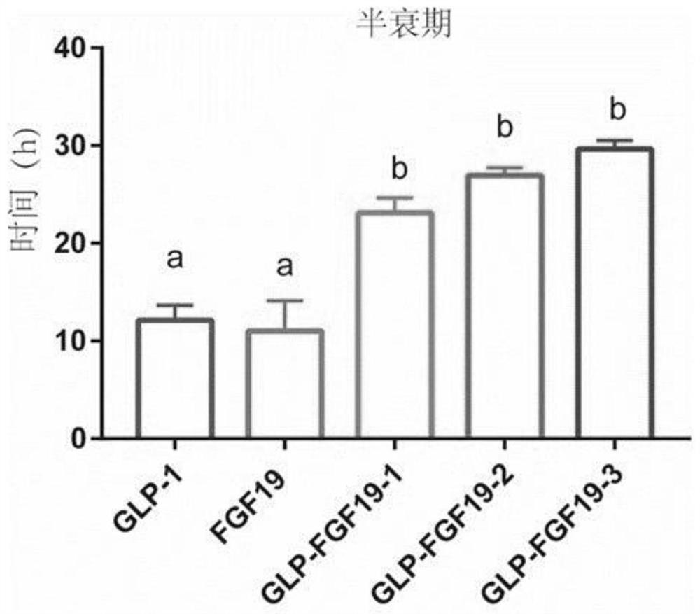 Preparation method and application of double-target fusion protein