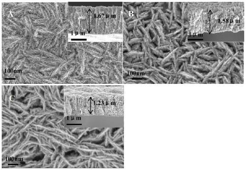 Vermicular Ni/Ni&lt;x&gt;Fe&lt;1-x&gt;O&lt;y&gt; hydrogen evolution catalyst and preparation method thereof