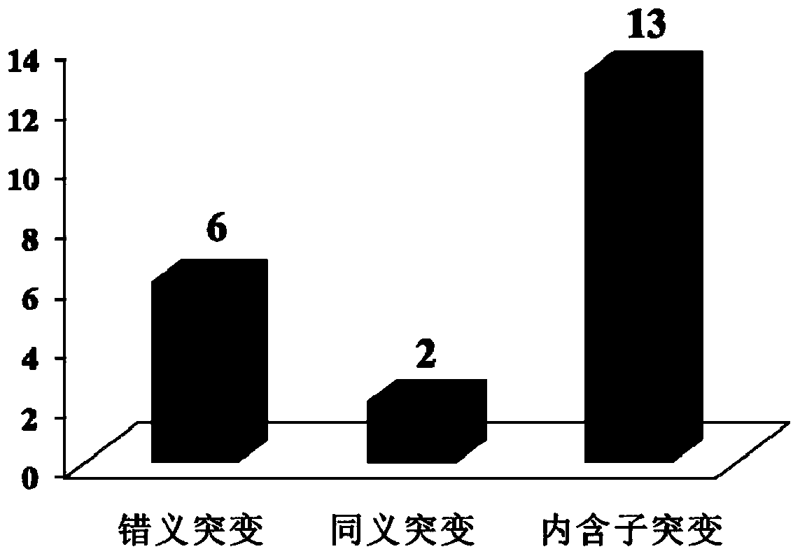 Wheat carotenoid synthesis route key gene Lcye mutant and application thereof