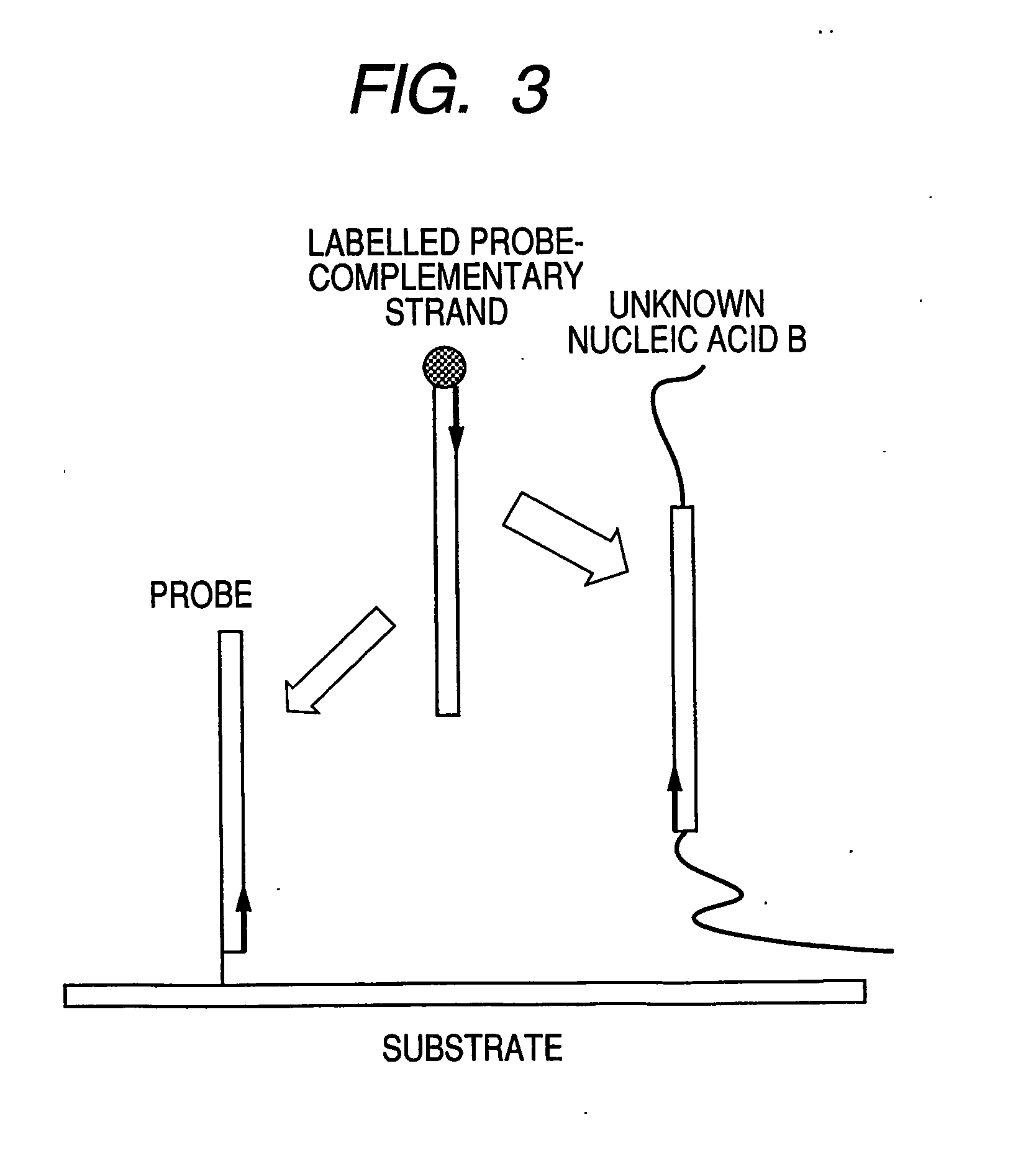 Process for assay of nucleic acids by competitive hybridization using a dna microarray