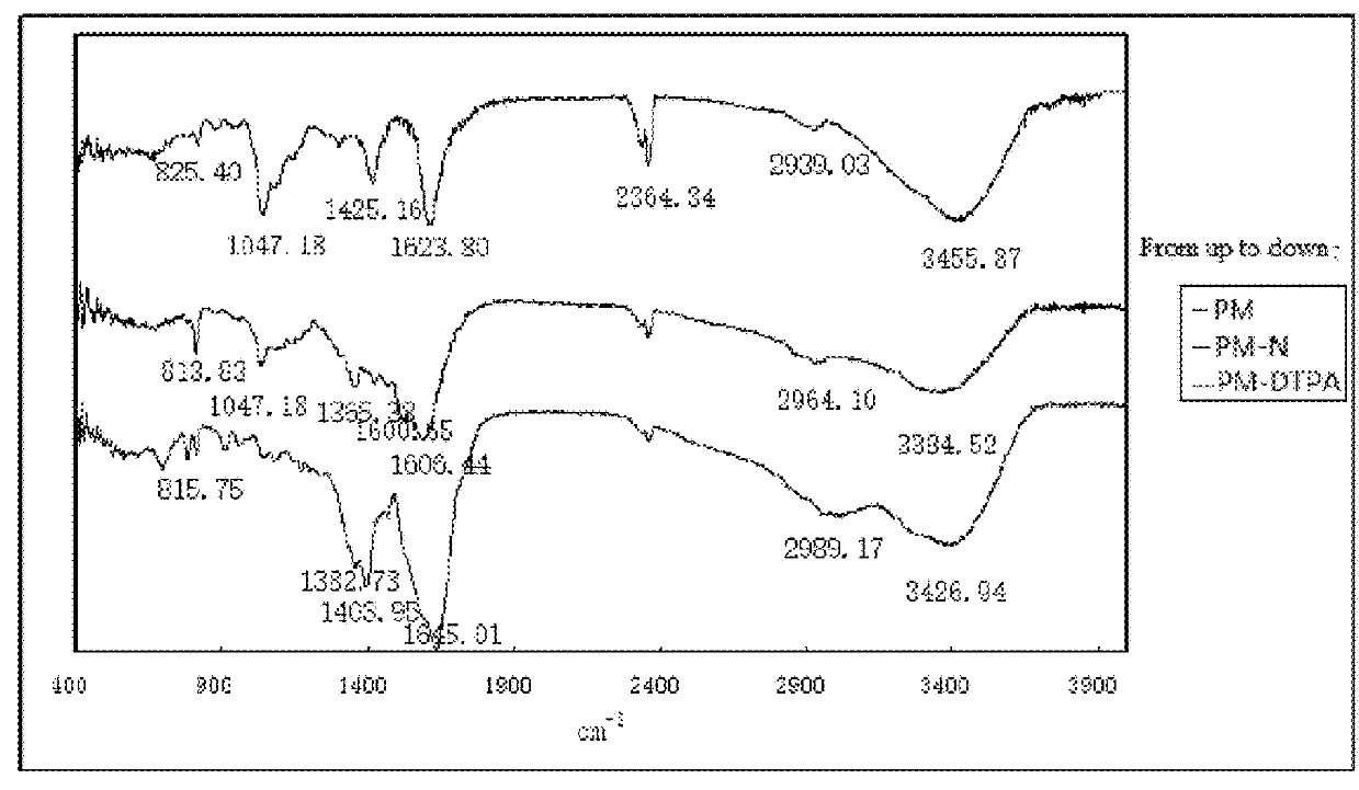 Lymph targeting nuclear magnetic contrast agent using brown algae polysaccharide as carrier and preparation method and use thereof