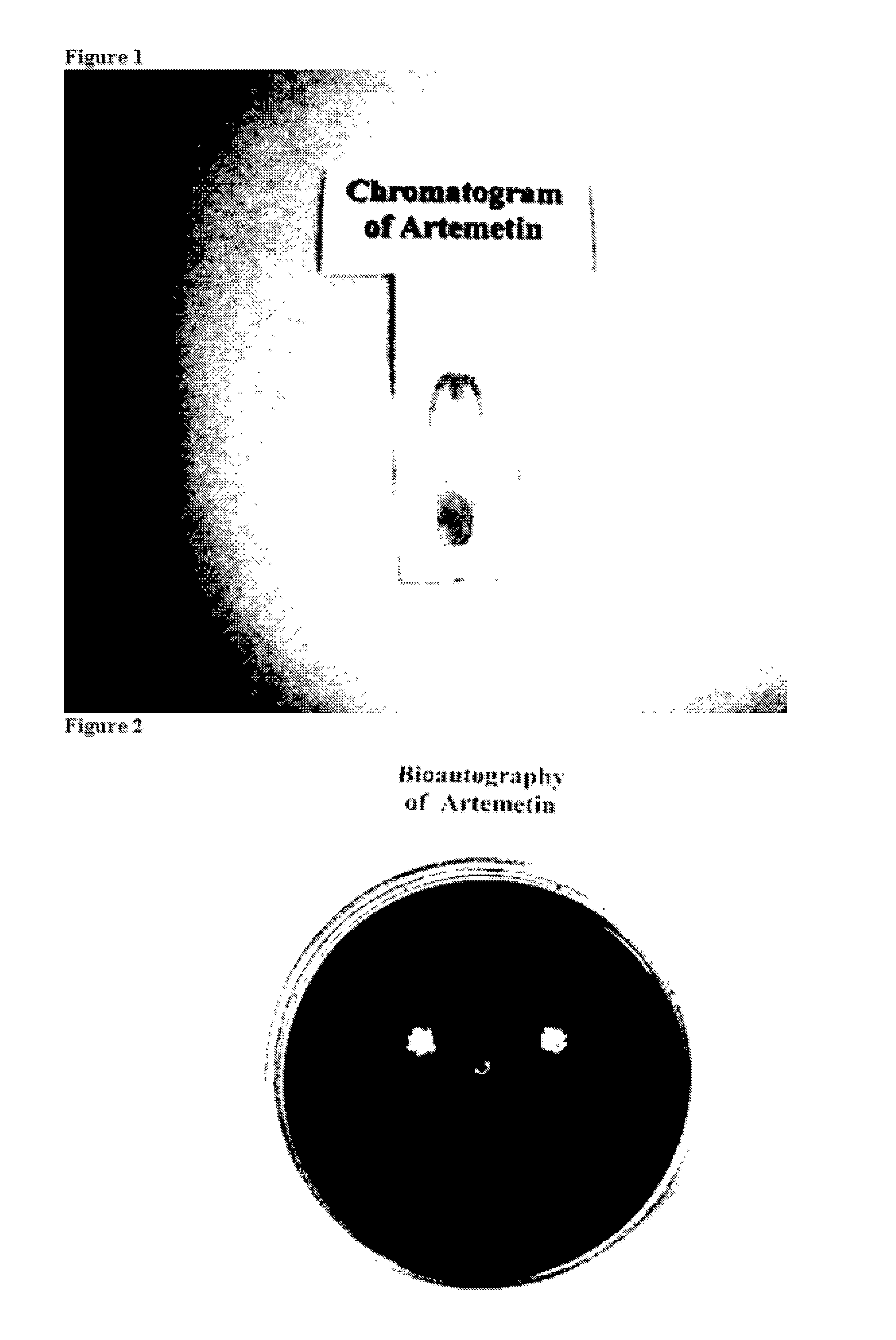 Compositions containing vitex agnus-castus berry oil for cosmeceutical applications and method of isolation of the active component