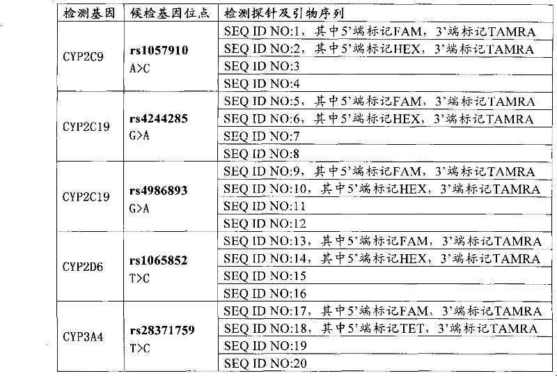 Medicine metabolic relevant loci detection method