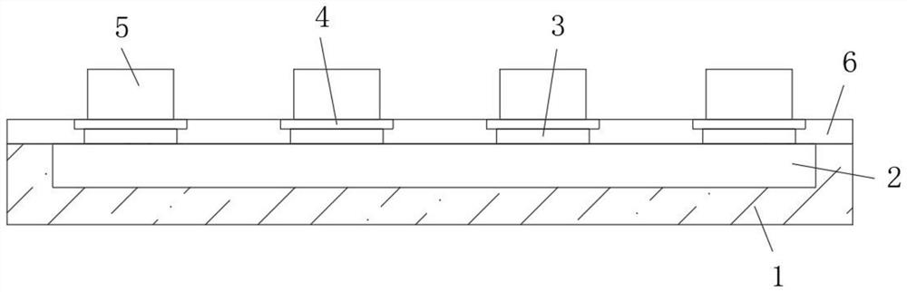 Flexible transparent LED display screen capable of being crimped at will