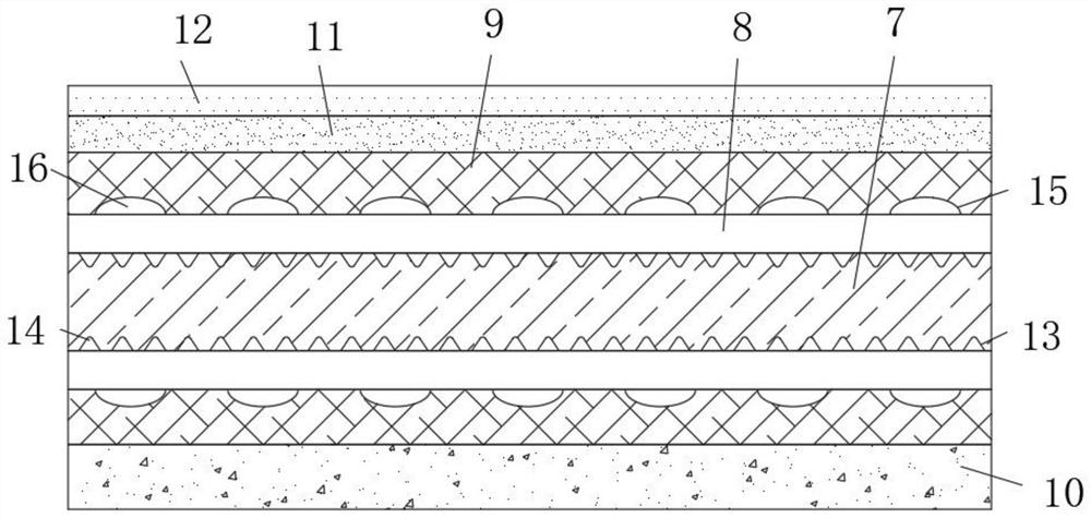 Flexible transparent LED display screen capable of being crimped at will