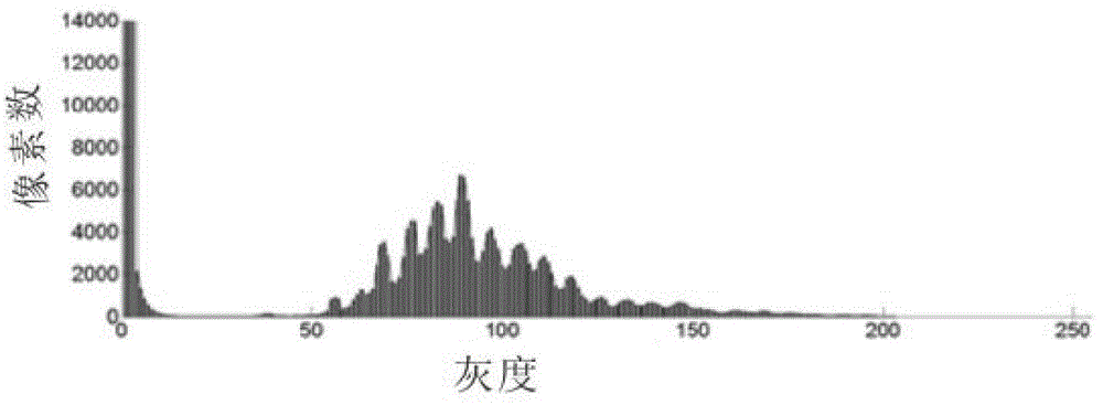 Shading judgment method and device based on depth layer