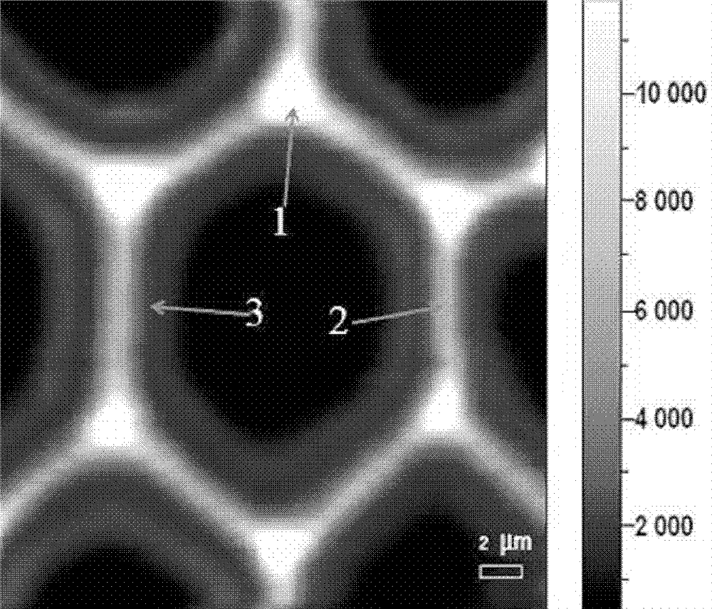 A kind of determination method of plant cell wall lignification degree