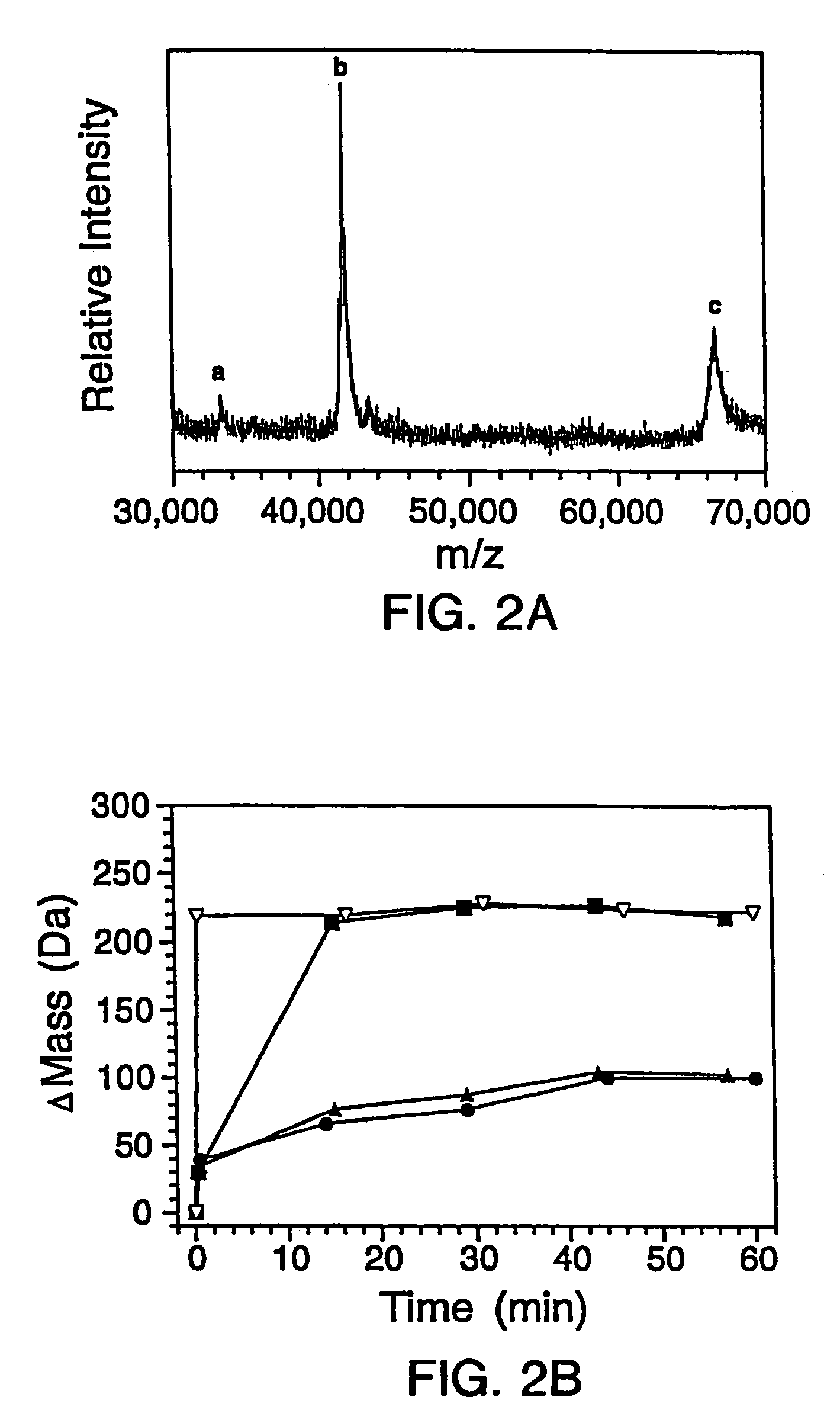 Quantitative, high-throughput screening method for protein stability