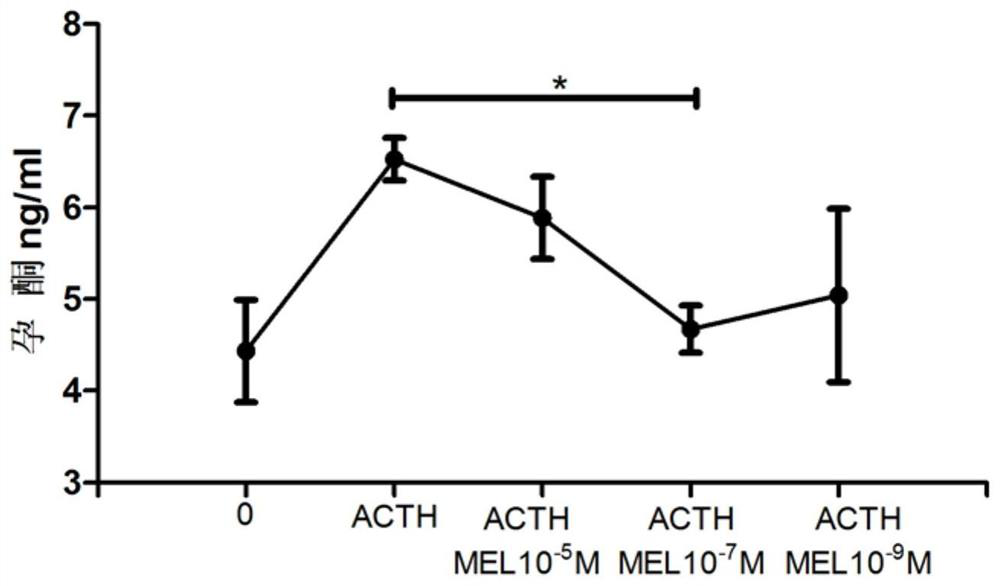 Application of melatonin in delaying in-vitro differentiation of bovine follicular granulosa cells