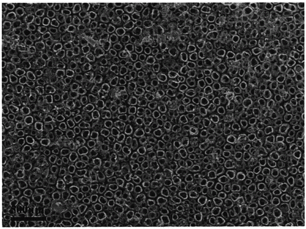 Method for in-situ preparation of graphite-like-phase carbon nitride quantum dot/titanium dioxide nanotube array visible-light-induced photocatalyst