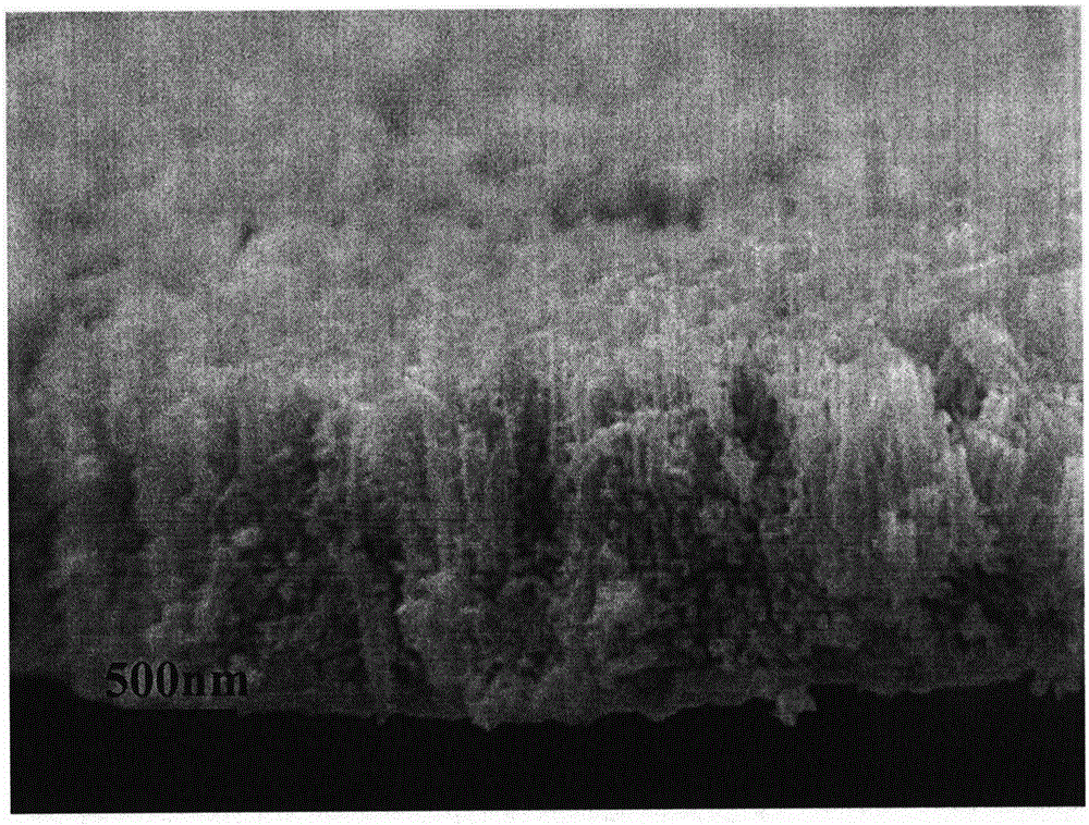 Method for in-situ preparation of graphite-like-phase carbon nitride quantum dot/titanium dioxide nanotube array visible-light-induced photocatalyst