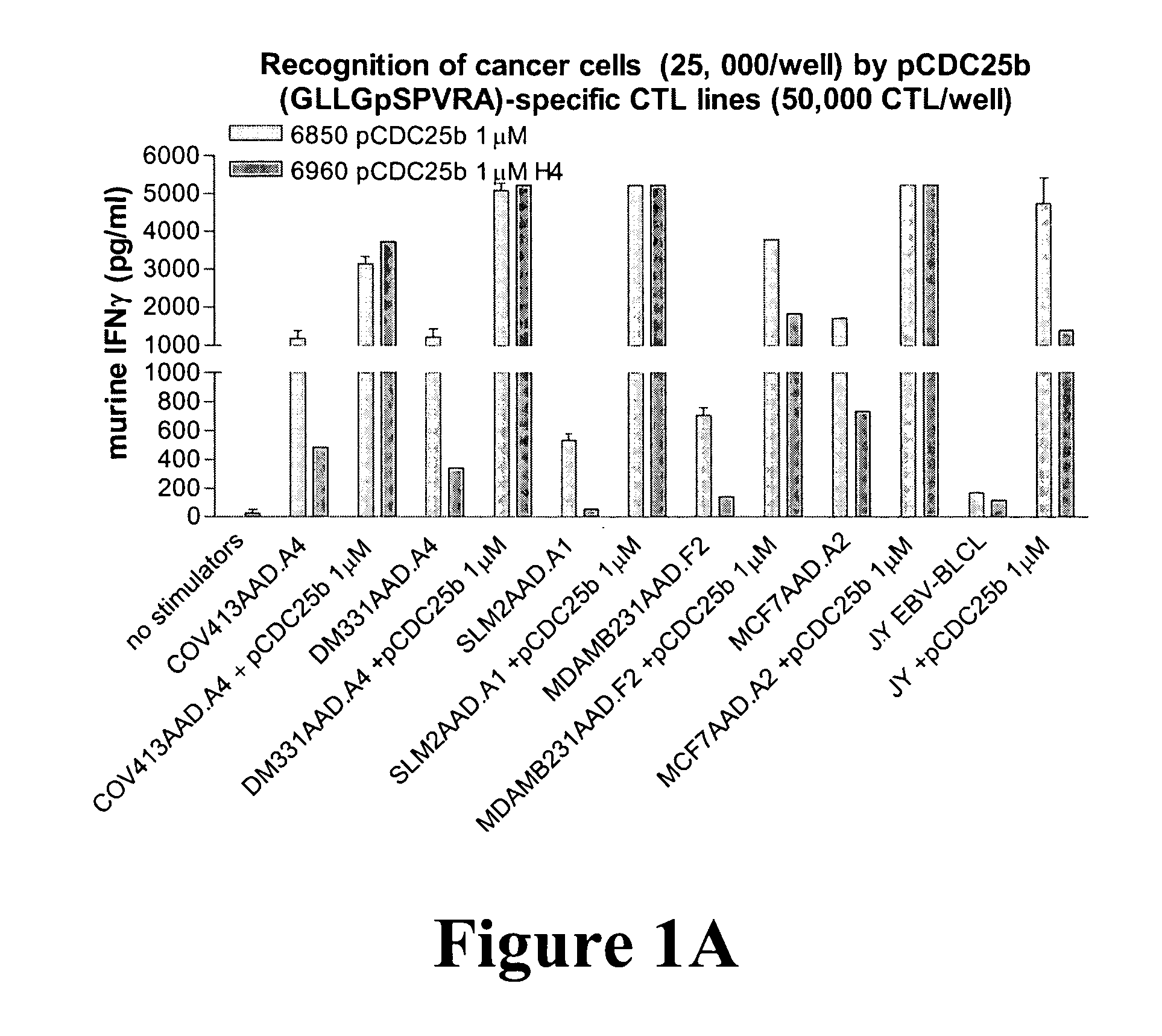 Phosphopeptide antigens associated with MHC molecules