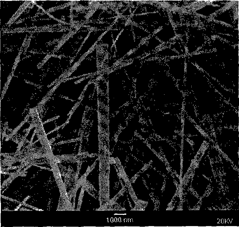 Method for preparing mullite crystal whisker by non-hydrolytic sol-gel process