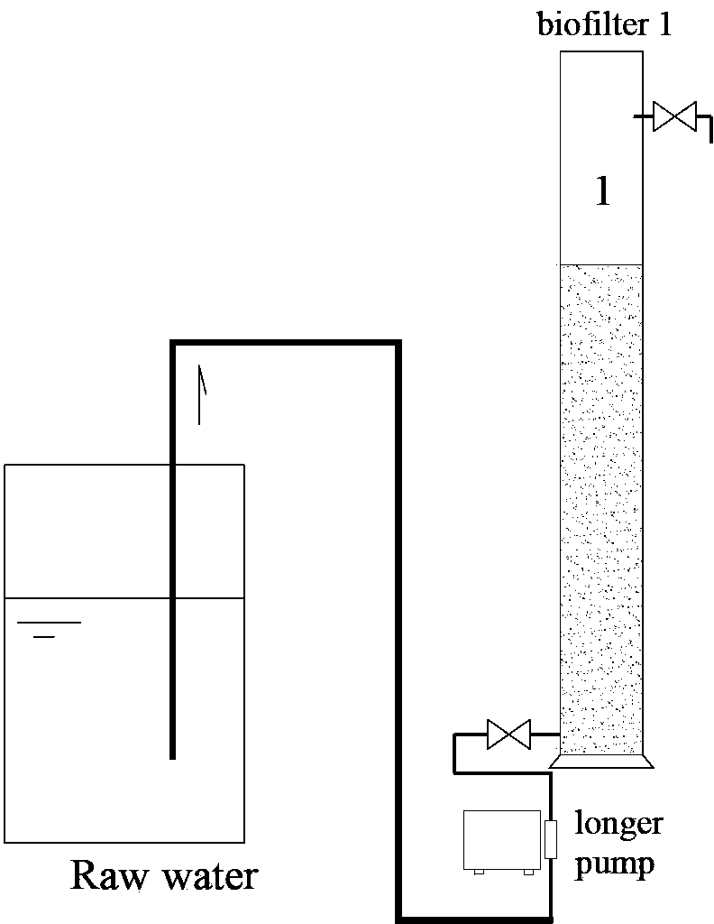 Magnetic microbial carrier and preparation method thereof