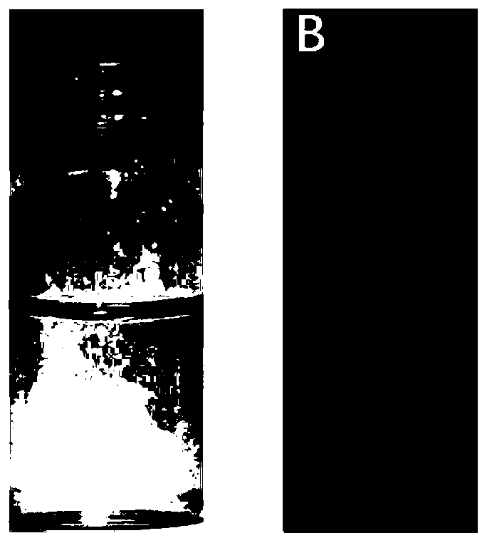 Nitrogen-doped graphene quantum dot, preparation method and applications thereof