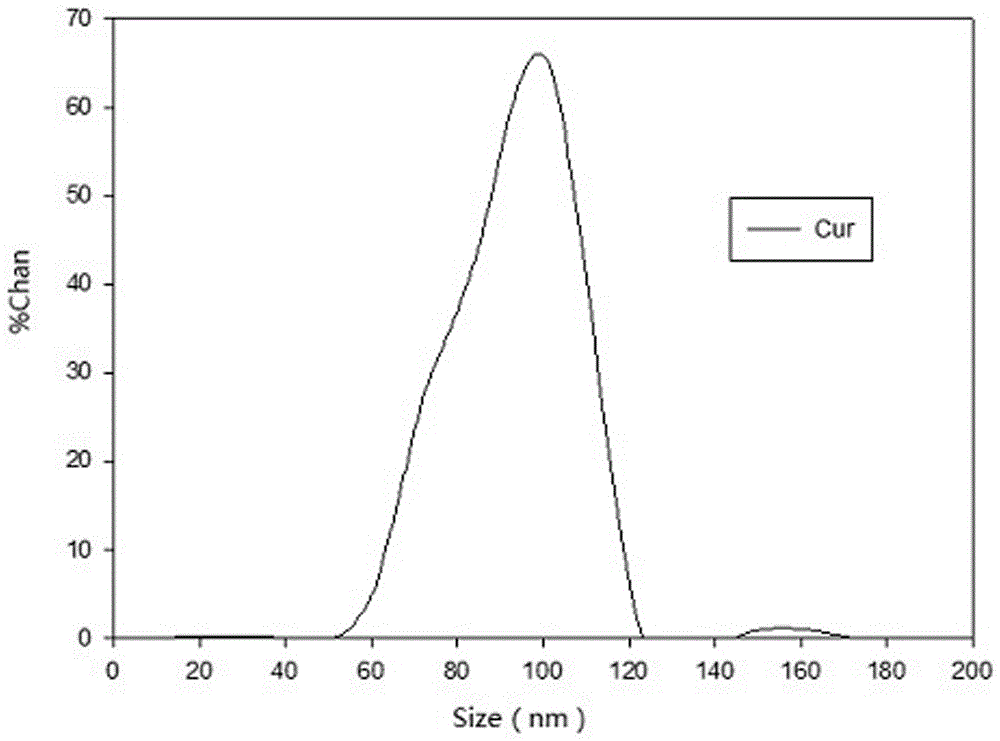 Method for green synthesis of nanometer zero-valent iron suspension liquid with peels or seed kernels