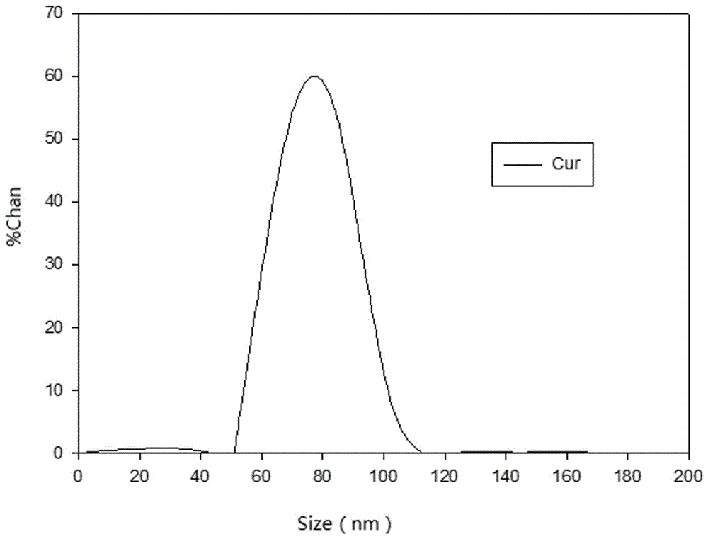 Method for green synthesis of nanometer zero-valent iron suspension liquid with peels or seed kernels