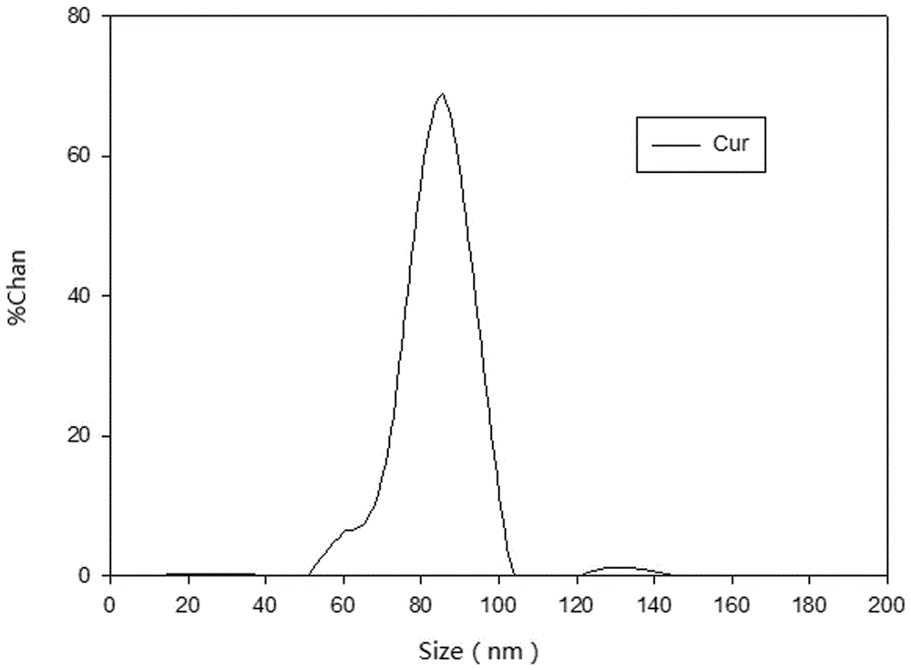 Method for green synthesis of nanometer zero-valent iron suspension liquid with peels or seed kernels