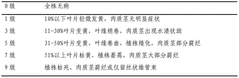 Pesticide for preventing and controlling ginger blast, and preparation method thereof