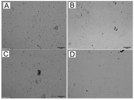 Functional protecting surface material with good adhesive performance and preparation method for function protecting surface material