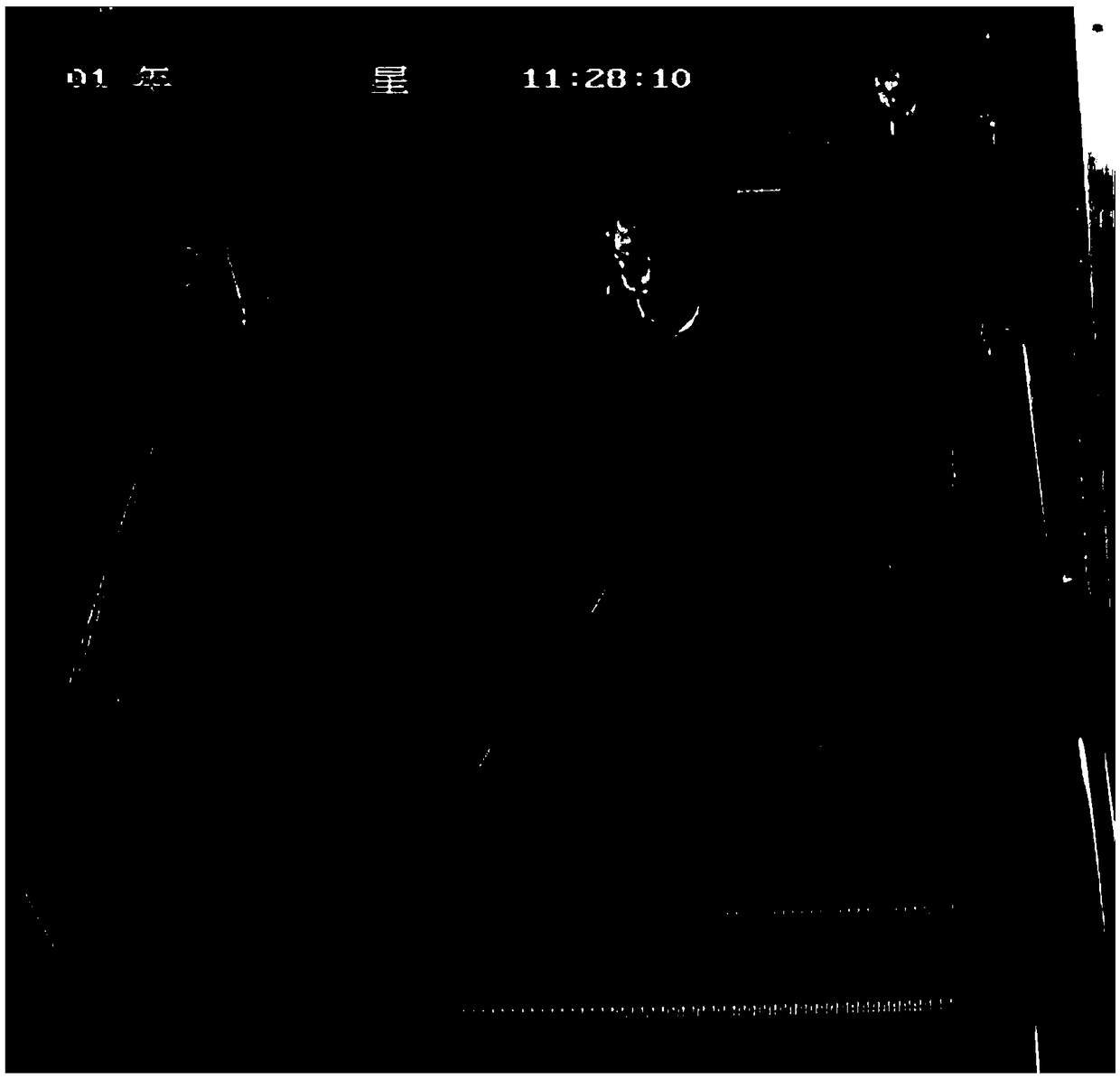 Passenger abnormal behavior recognition method based on human skeleton sequence