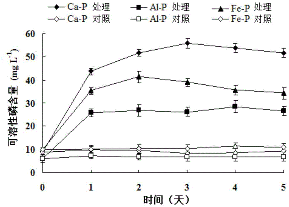 A kind of pantoea disperse and application thereof