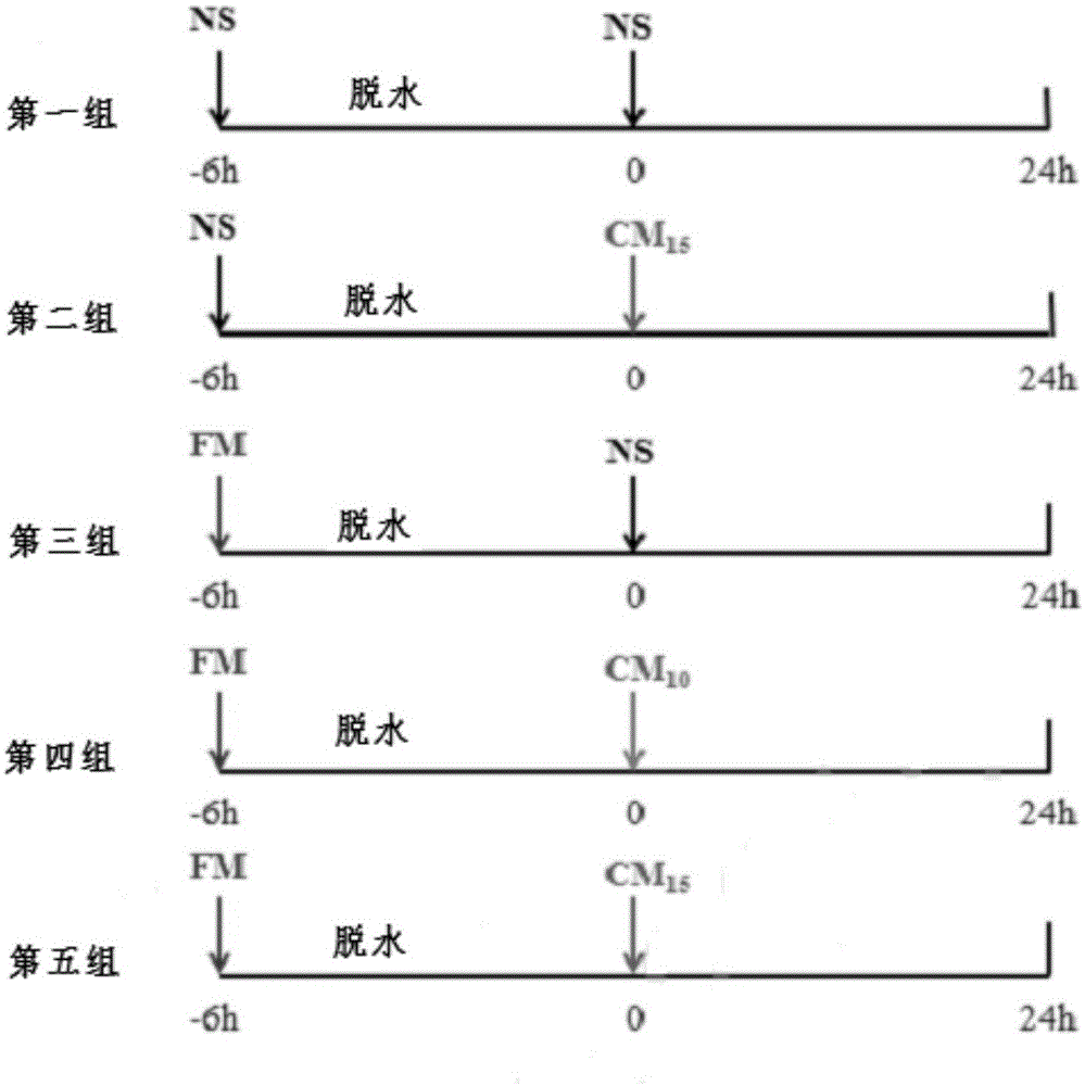 Construction method of contrast agent induced acute kidney injury animal model