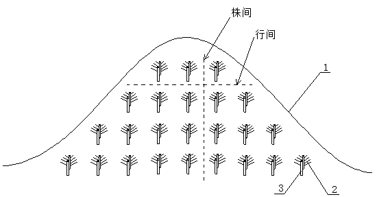 A method of using corn stalks to control desertification and afforestation