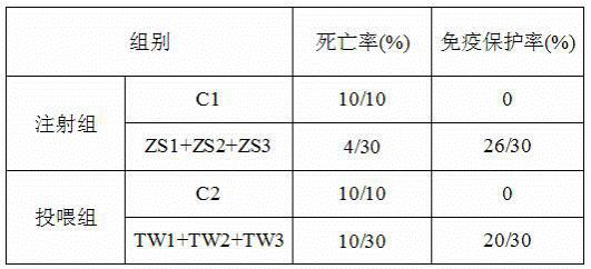 Aeromonas salmonicida attenuated strain derived from turbot and application of aeromonas salmonicida attenuated strain