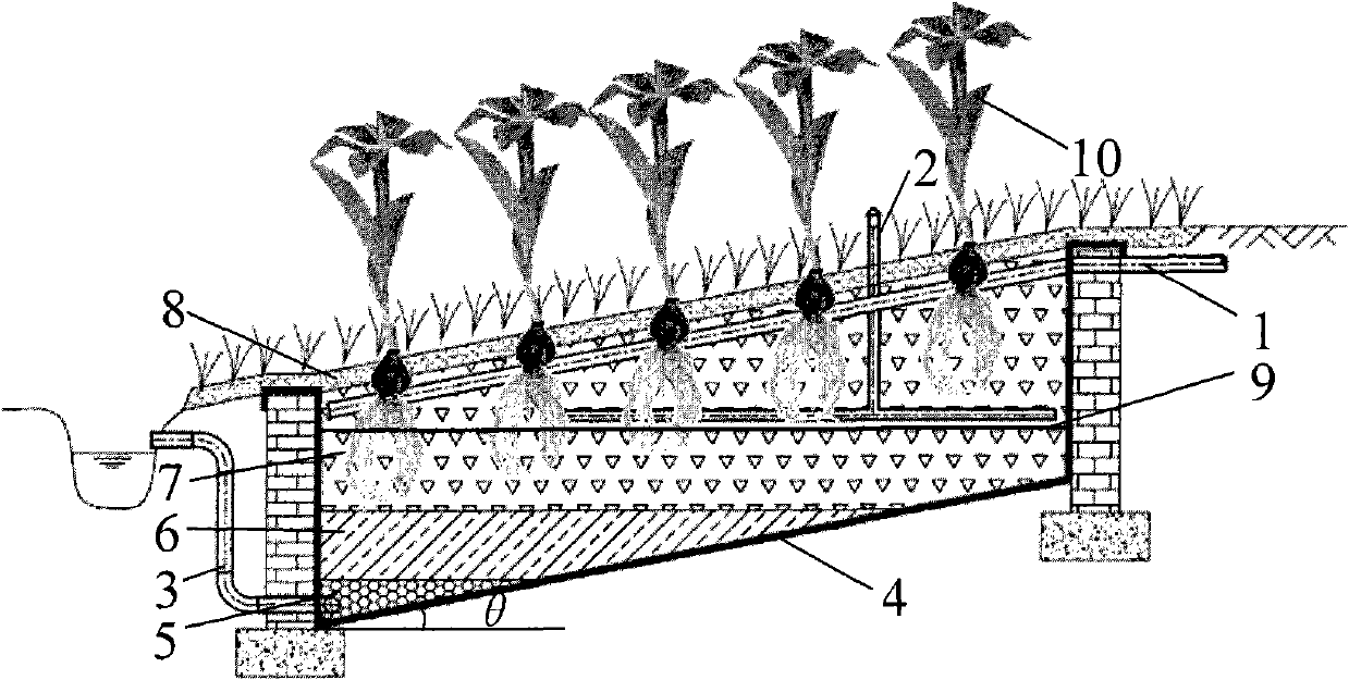 Water treatment technology of inclined plane undercurrent artificial wetland