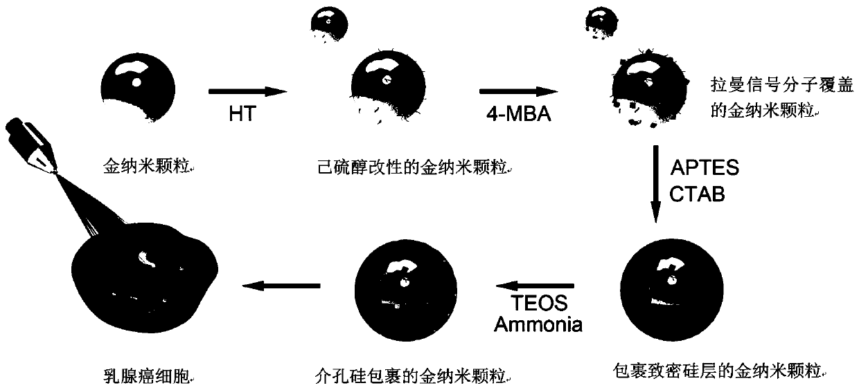 SERS labeled nanoprobe with gold-hexanethiol-mesoporous silicon structure, and preparation method and application thereof