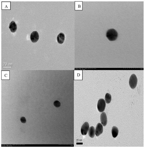 SERS labeled nanoprobe with gold-hexanethiol-mesoporous silicon structure, and preparation method and application thereof