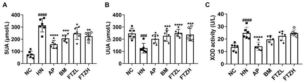 Novel application of compound fructus ligustri lucidi and rhizoma atractylodis lipid regulating capsule for treating hyperuricemia and gout kidney