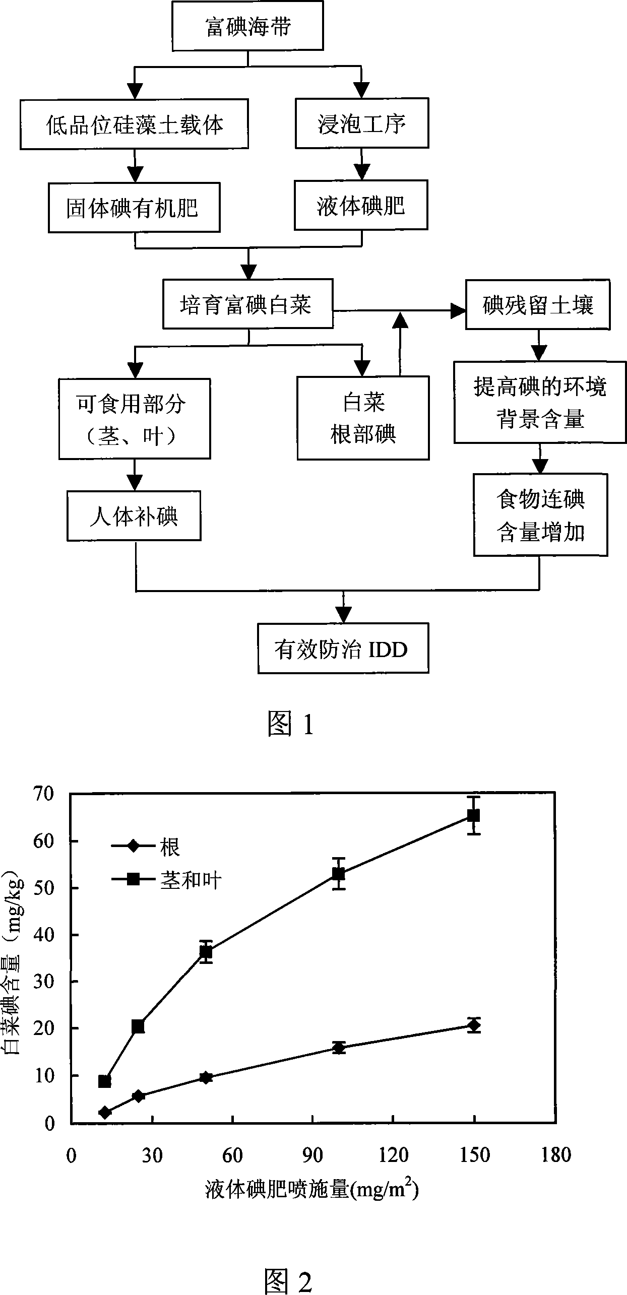 Method for cultivating cabbage containing rich iodine