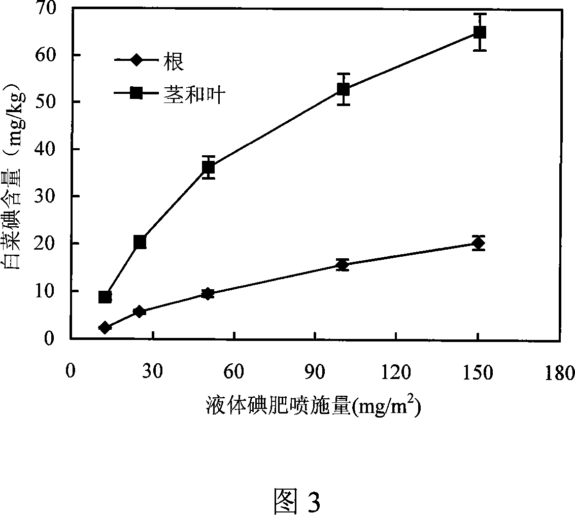 Method for cultivating cabbage containing rich iodine