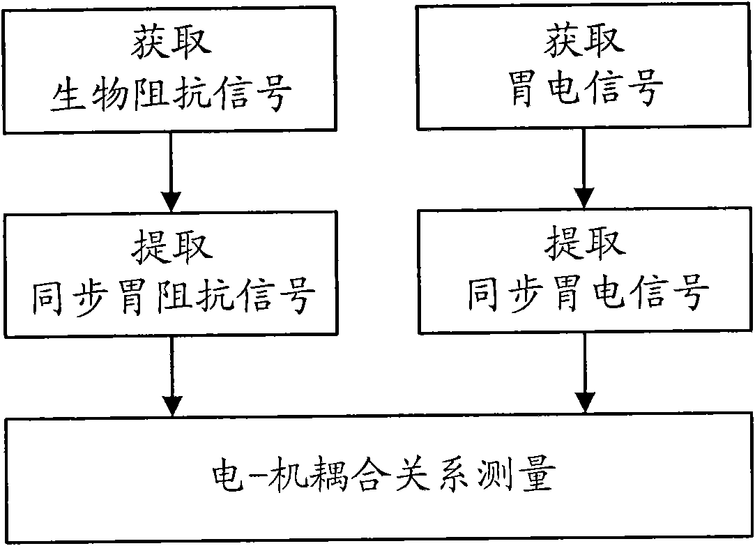 Gastric motility electric-mechanical coupled relation measurement method and device