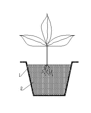 Composite sand planting structure