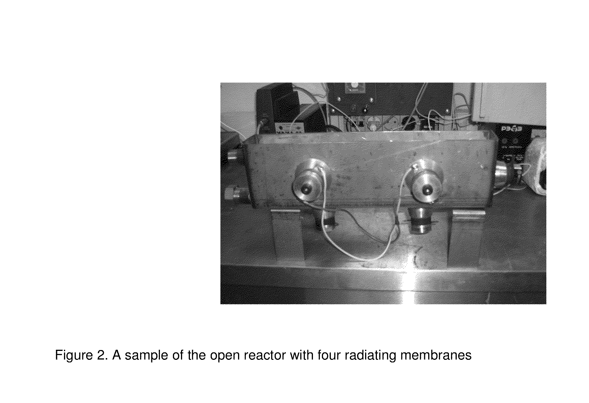 Method of ultrasonic cavitation treatment of liquid media and the objects placed therein